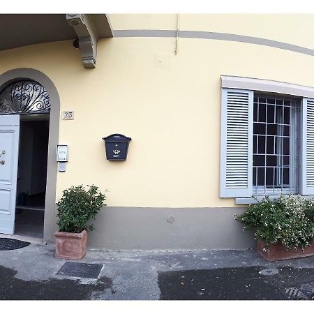 Oro Rosso Rooms Locazione Turistica アレッツォ エクステリア 写真