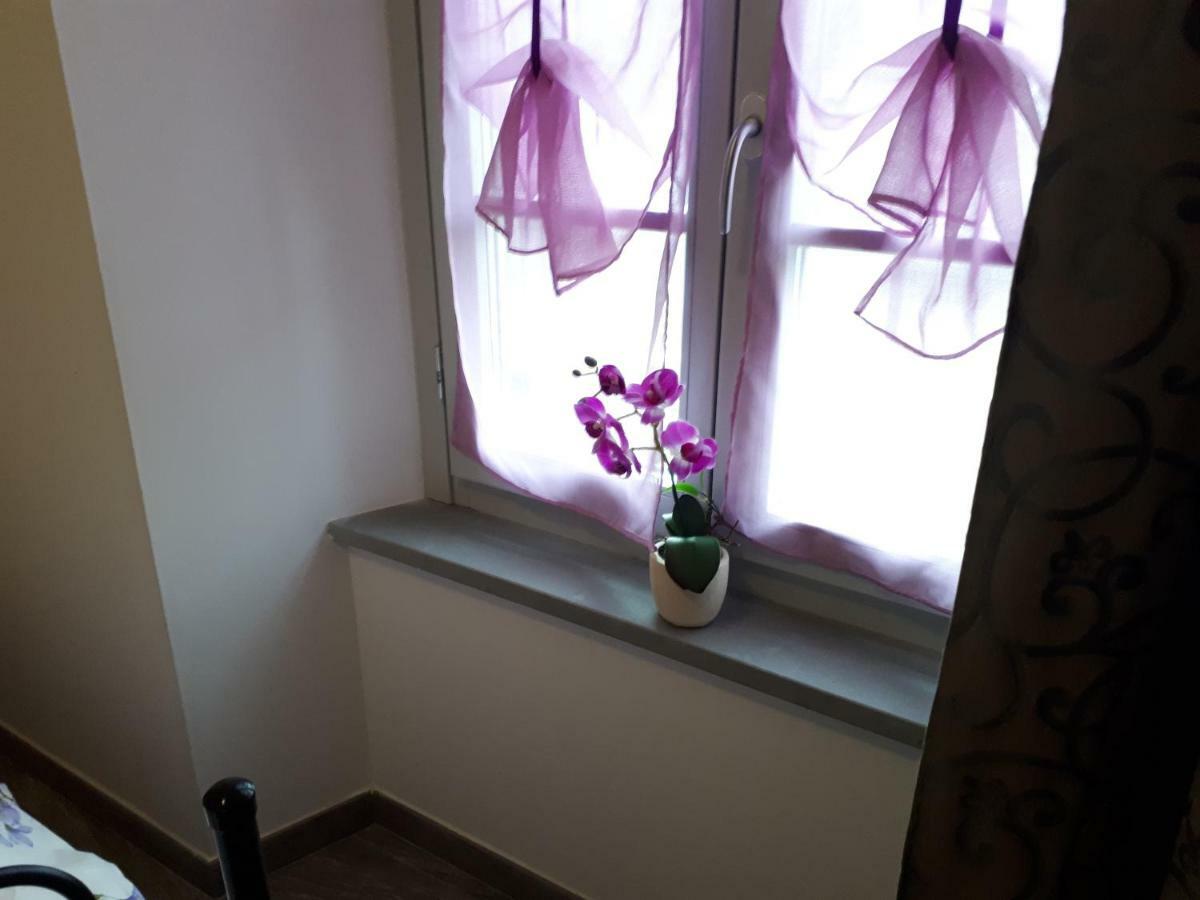 Oro Rosso Rooms Locazione Turistica アレッツォ エクステリア 写真